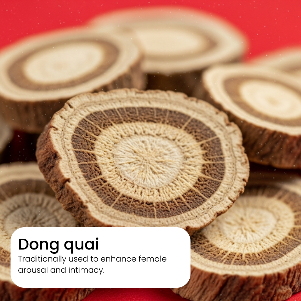 Sliced dong quai roots on a red background with text about their traditional use.