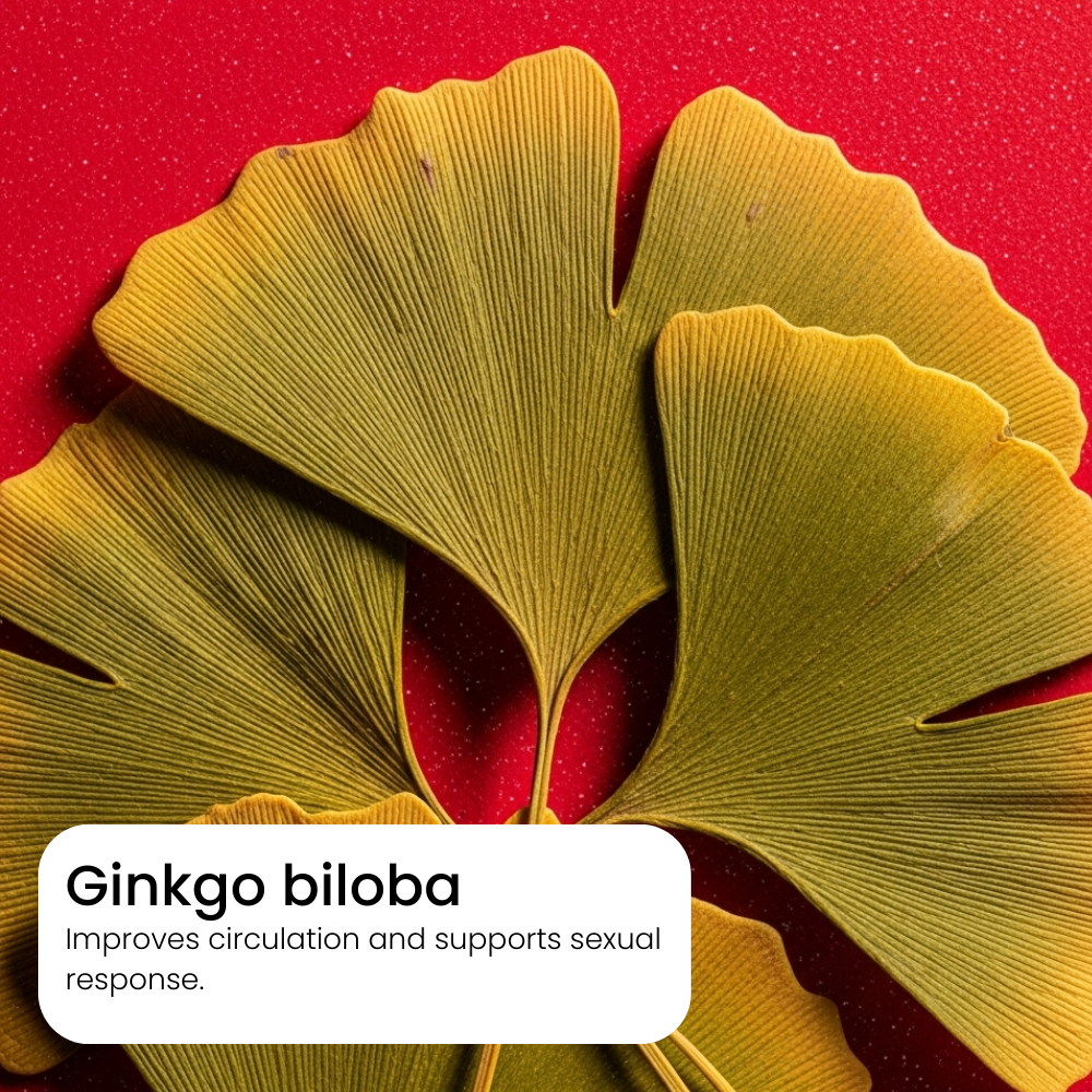 Ginkgo biloba leaves on a red background with text about its benefits.