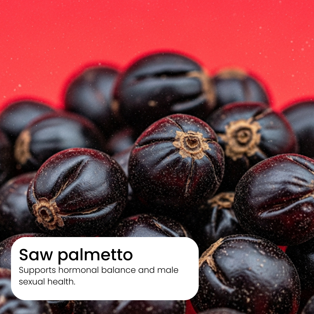 Close-up of saw palmetto berries with a red background and text about its health benefits.