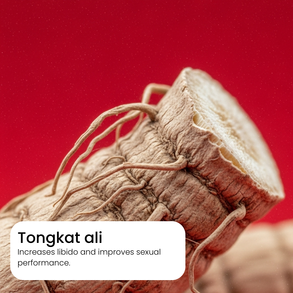Close-up of a piece of tongkat ali root with text on a red background. health benefits tongkat ali for men